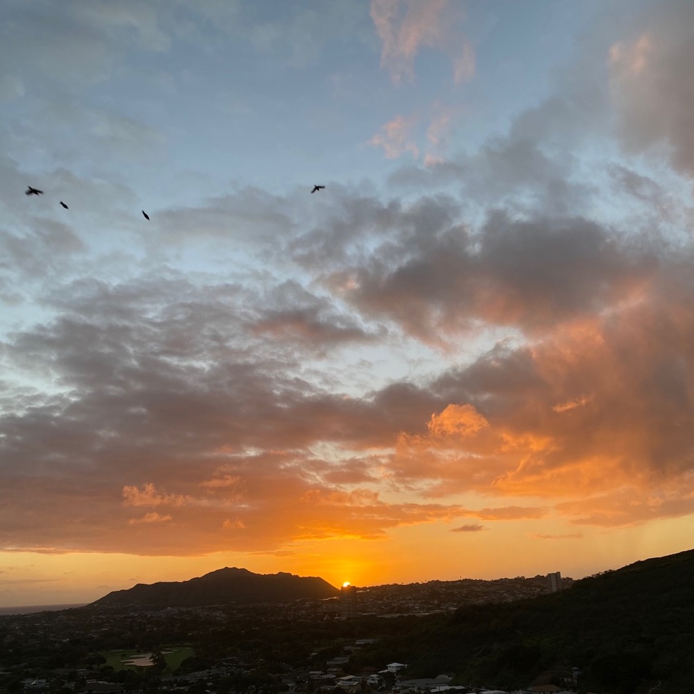 Meet your Posher, Mali